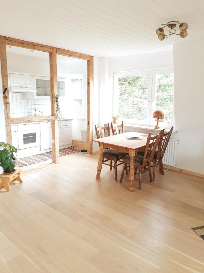 Ferienhaus Im Bergdorf Hohegeiß Zewnętrze zdjęcie