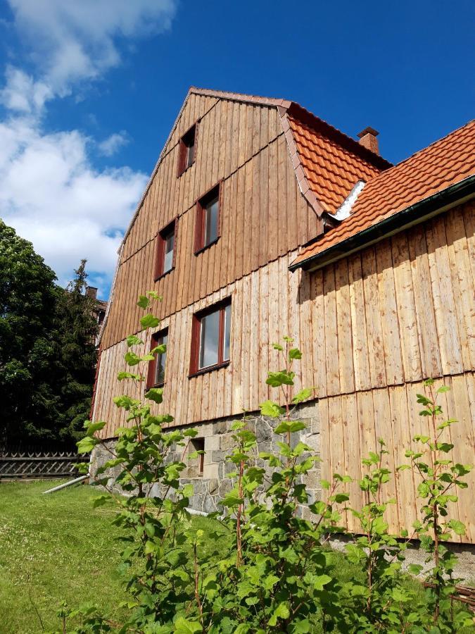 Ferienhaus Im Bergdorf Hohegeiß Zewnętrze zdjęcie